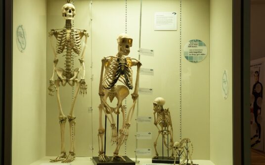 Zidentyfikowano rodzinę sprzed 54 tysięcy lat! Przełomowe wyniki pracy naukowców
