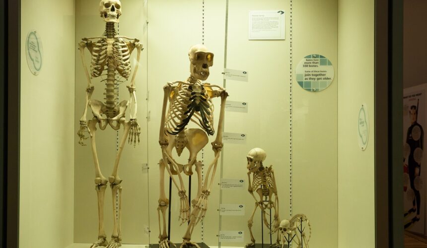 Zidentyfikowano rodzinę sprzed 54 tysięcy lat