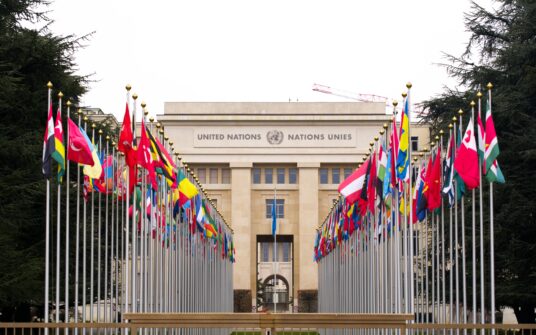 ONZ przygotuje raport nt. wpływu wolności religijnej na ideologię gender. Ordo Iuris ostrzega