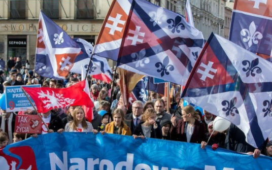 „Dzieci przyszłością Polski”. Już za miesiąc Narodowy Marsz dla Życia i Rodziny