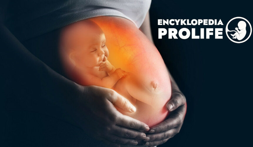 Encyklopedia prolife zaprezentowana