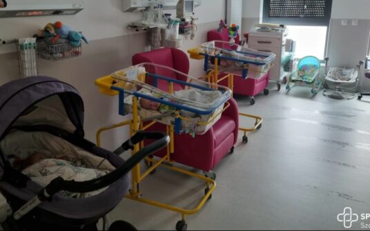 Noworodki poszukują domów. Szpital w Szczecinie apeluje o pomoc