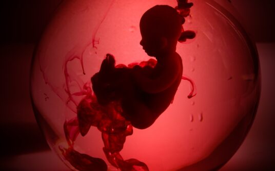 [NASZ NEWS] Ministerstwo Zdrowia o składzie zespołu ds. określenia przesłanek do aborcji