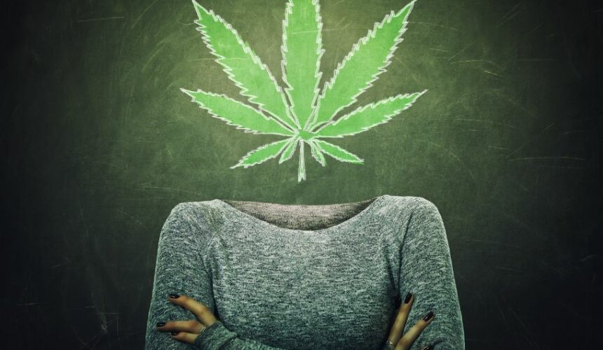 Wpływ marihuany na mózg. Jak zioło szkodzi nastolatkom?