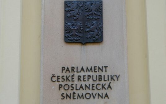 Czechy odrzuciły ratyfikację konwencji stambulskiej