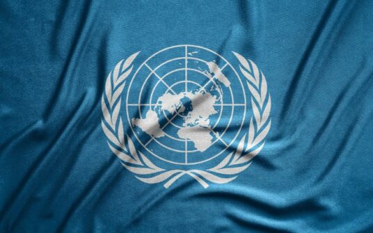 Legalna aborcja i całkowite rozbrojenie. Niepokojące postulaty Paktu na rzecz Prawa do Rozwoju ONZ