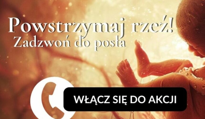 Zadzwoń do posła