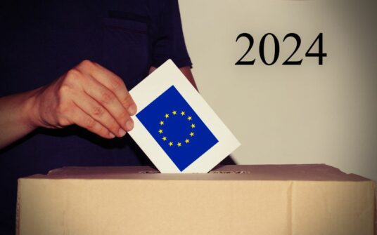 Honorowa instrukcja poselska na Eurowybory 2024!