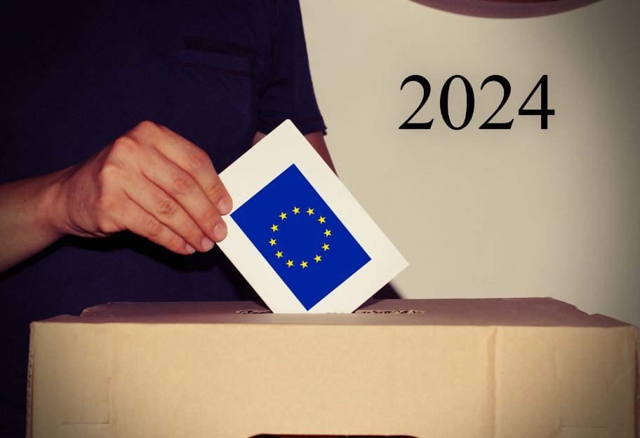 Honorowa instrukcja poselska na Eurowybory 2024!