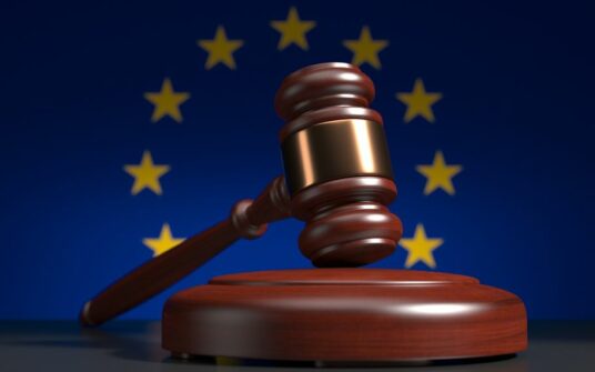 Trybunał w Strasburgu: zakaz aborcji eugenicznej nie narusza praw człowieka