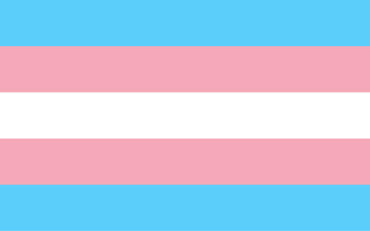 Kościół w Niemczech wybierze ideologię gender?