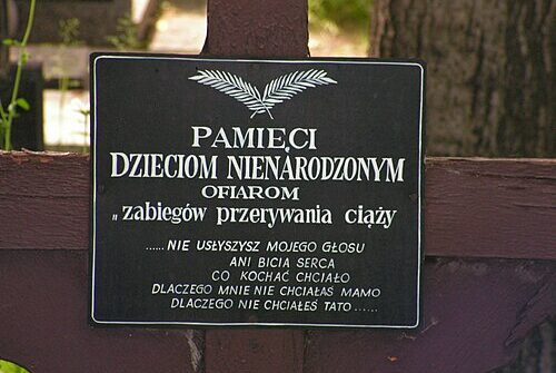 Aborcja nie stanie się w Holandii “prawem człowieka”