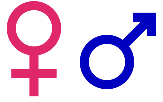 TSUE narzuca ideologię gender: Atak na suwerenność państw i biologię płci