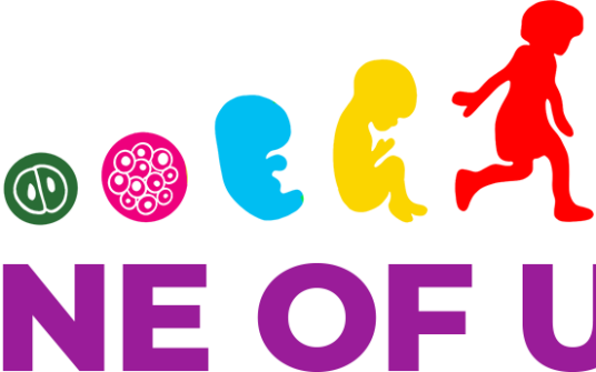 “One of us” w Parlamencie Europejskim wzywa do ochrony życia ludzkiego